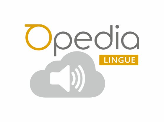 Software Linguistico